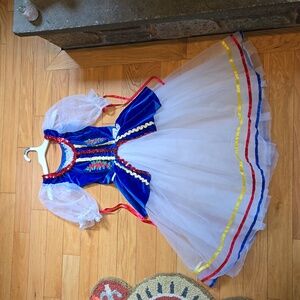 Ballet Giselle costume European length tutu "corset look" Child Large